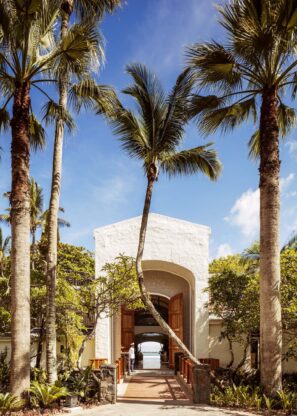 Tropický vchod s vysokými palmami a bílým štukovým obloukem vede k otevřeným dveřím, které rámují výhled na oceán pod jasně modrou oblohou.