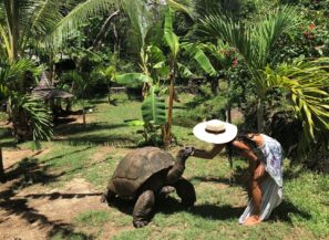 Žena ve slunečním klobouku se sklání k&nbsp;obří želvě v&nbsp;bujné tropické zahradě obklopené palmami a&nbsp;zelení.