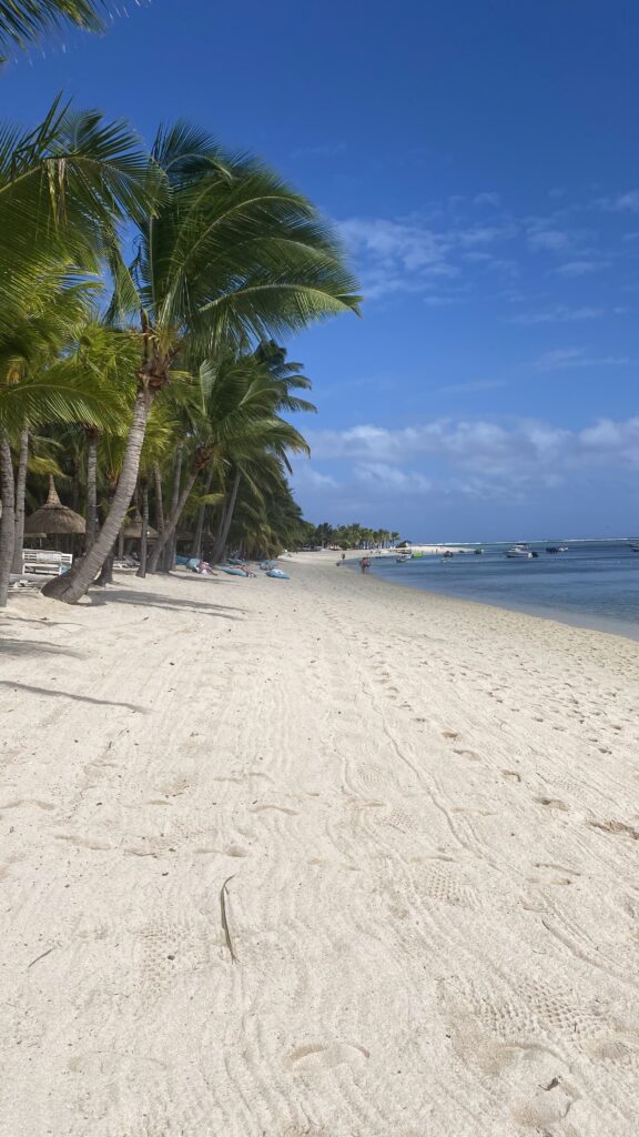 Pláž u&nbsp;hotelu Lux Le Morne Maurícius s&nbsp;palmami a&nbsp;bílým pískem.